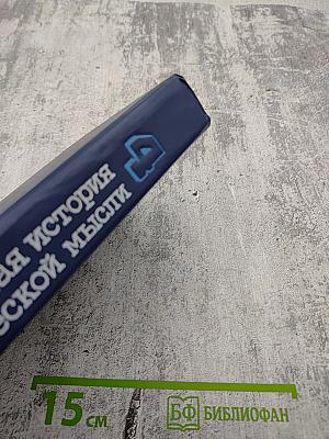 Всемирная история экономической мысли. Том 4: Теория социализма и капитализма в межвоенный период