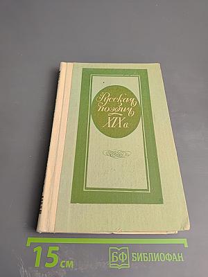 Русская поэзия XIX в.