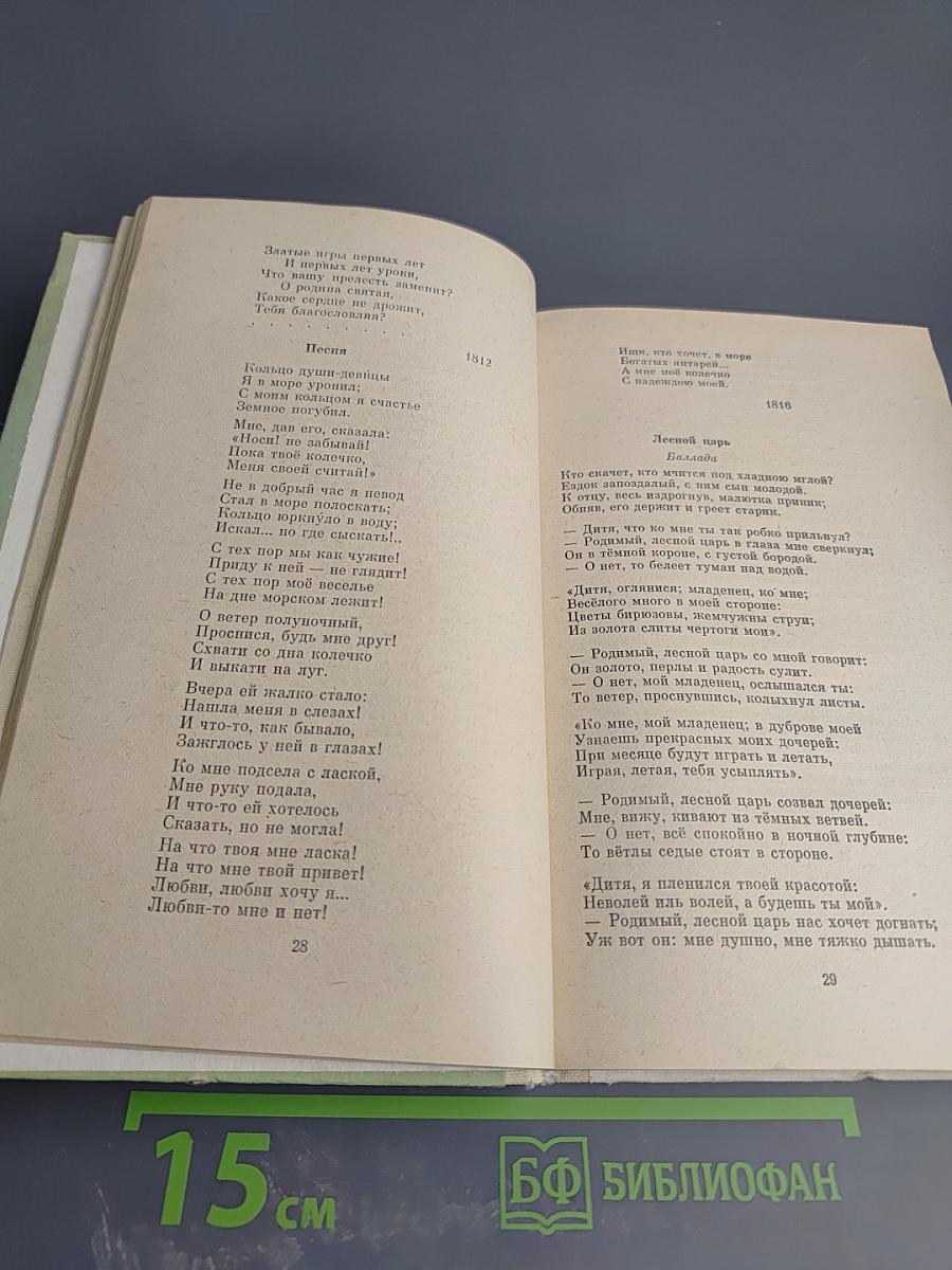 Русская поэзия XIX в.