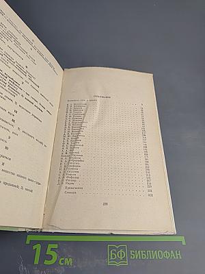 Русская поэзия XIX в.