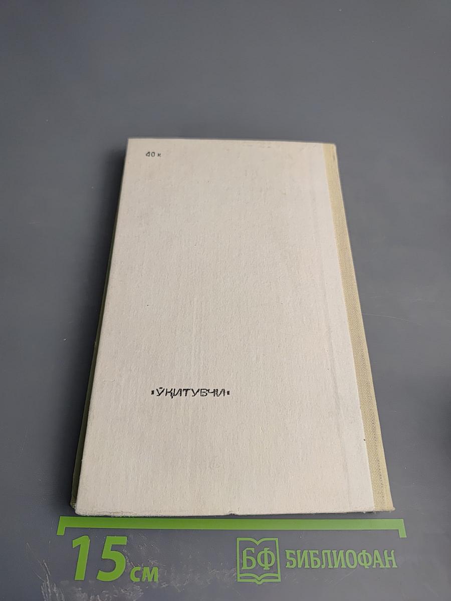 Русская поэзия XIX в.