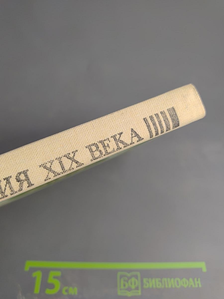 Русская поэзия XIX в.