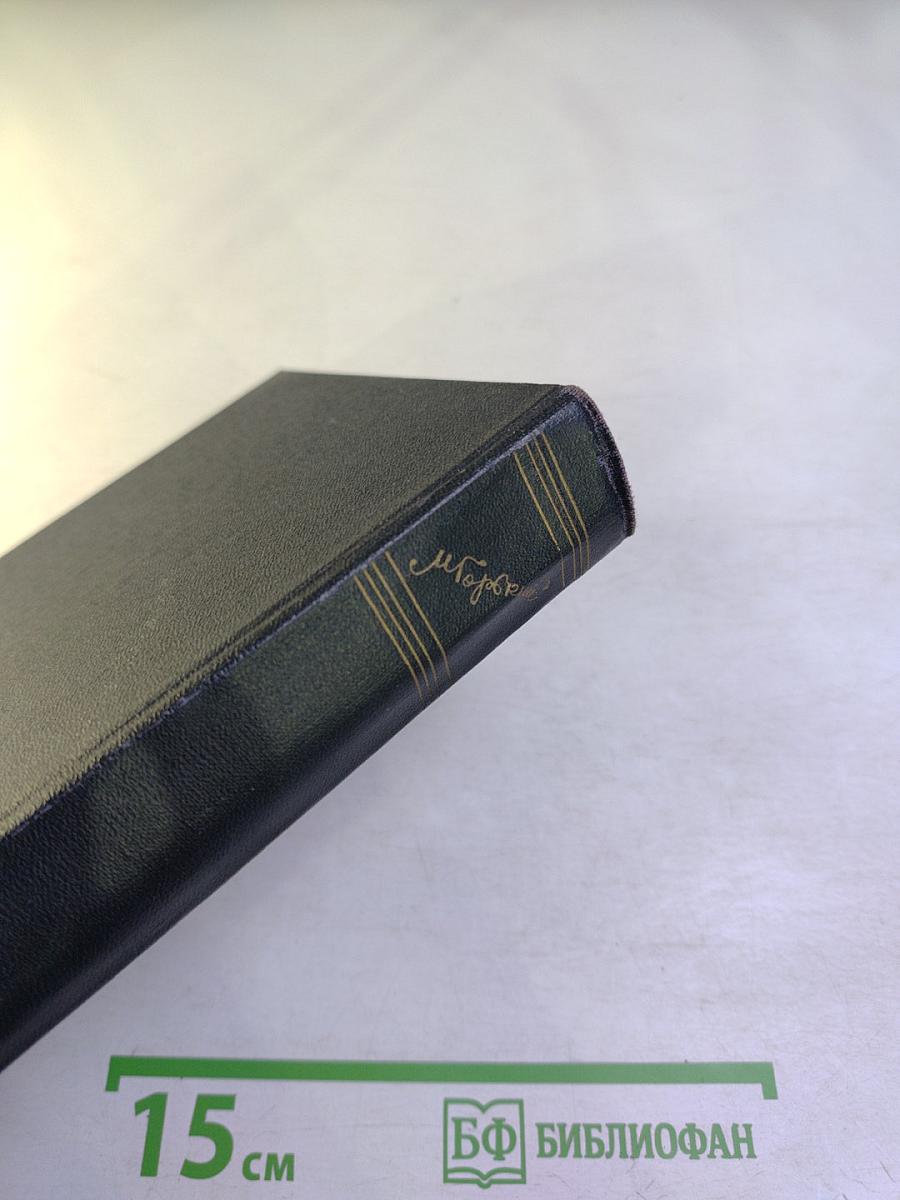 М. Горький. Собрание сочинений в тридцати томах. Том 5: Повести, рассказы, очерки, стихи. 1900-1906