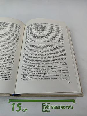 Блокада. Книга третья и четвертая