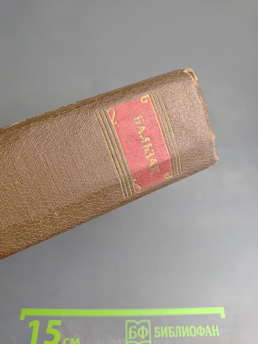 Человеческая комедия. Философские этюды