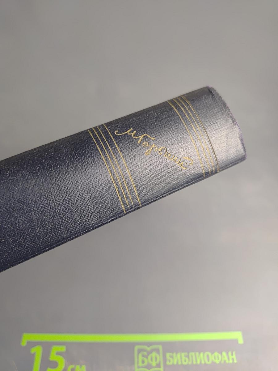 М. Горький. Собрание сочинений. Том 24: Статьи, речи, приветствия (1907-1928)