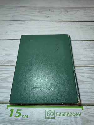 Золотые колечки