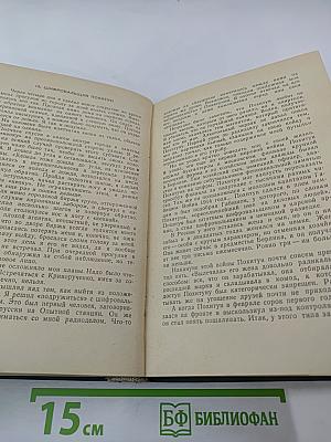 Клинок Эмира. Конец "Осиного гнезда". Повести в двух томах. Том I