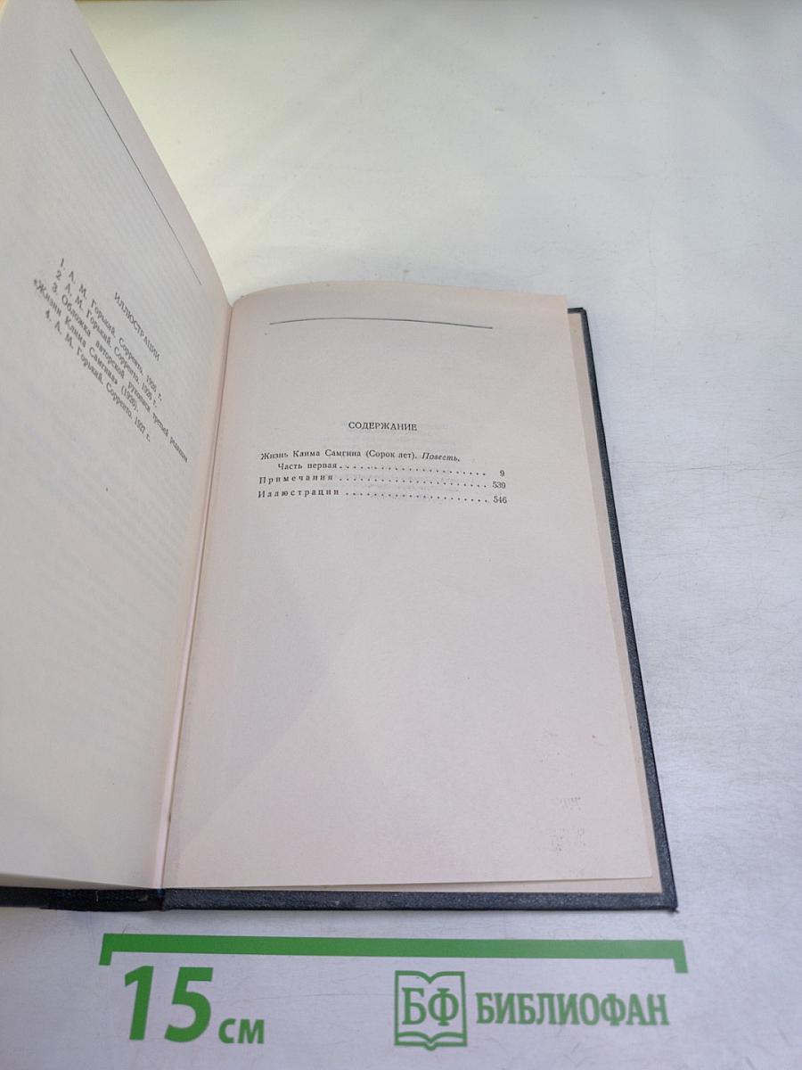 Жизнь Клима Самгина. Книга четвёртая (1925-1936). Том 19