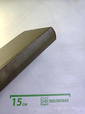 Анна Каренина. Собрание сочинений. Том девятый