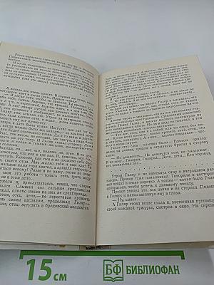 Межи. Новая дорога