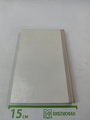 Межи. Новая дорога