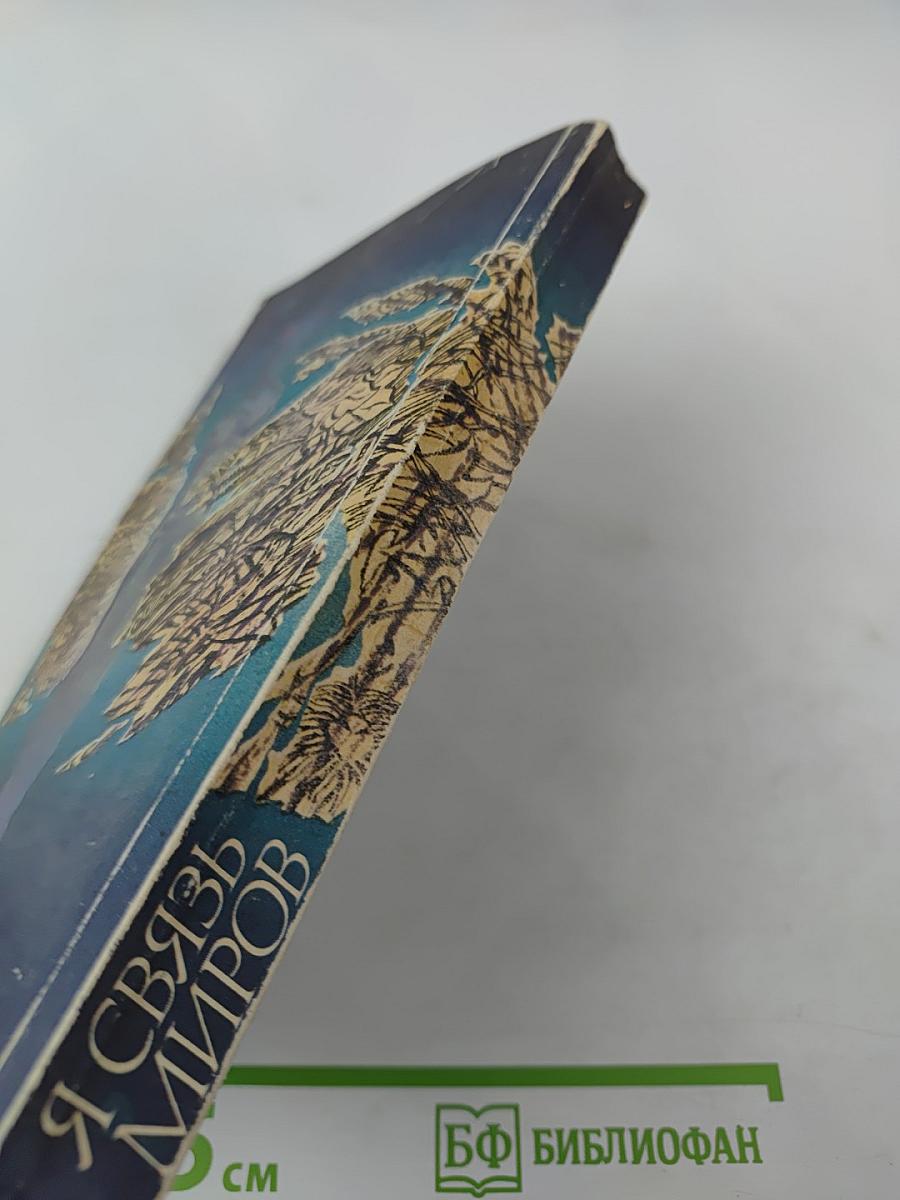 Я связь миров