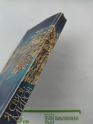 Я связь миров