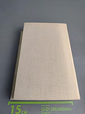 Блокада. Книги третья и четвертая