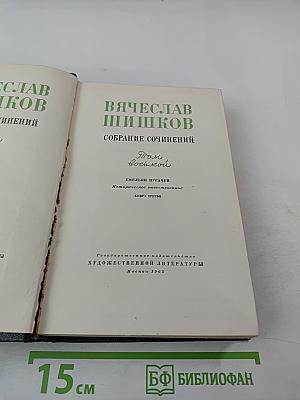 Собрание сочинений. Том 8. Емельян Пугачев. Книга третья