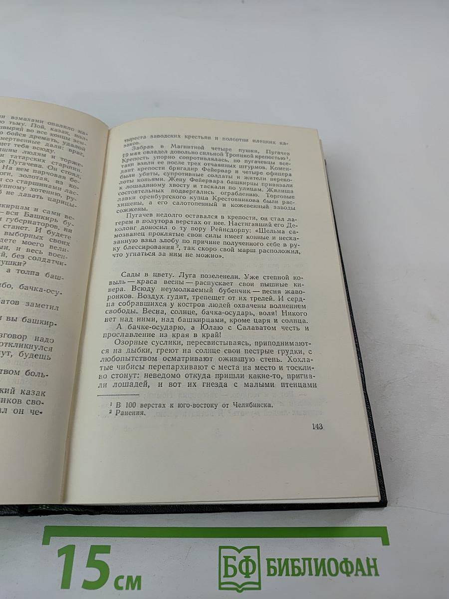 Собрание сочинений. Том 8. Емельян Пугачев. Книга третья