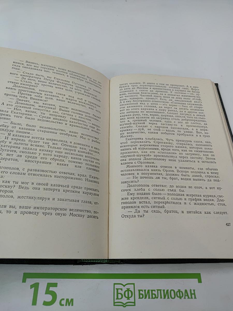 Собрание сочинений. Том 8. Емельян Пугачев. Книга третья