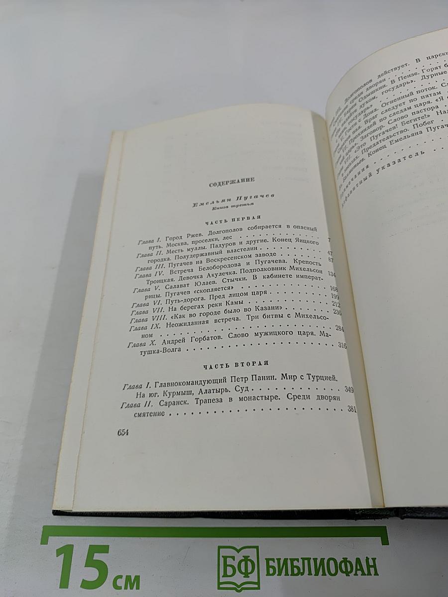 Собрание сочинений. Том 8. Емельян Пугачев. Книга третья