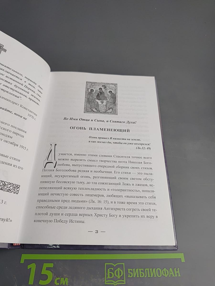 Пламя русской судьбы