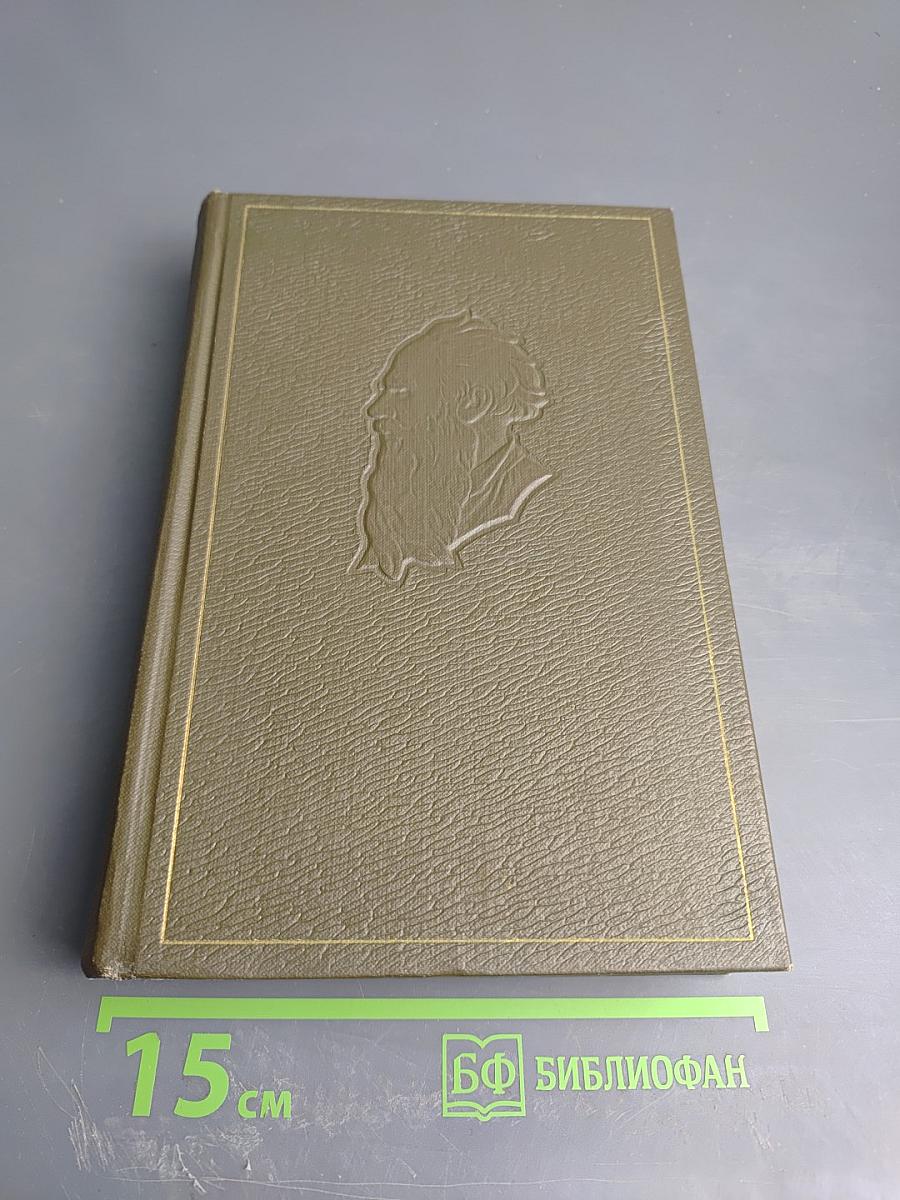 Собрание сочинений. Том семнадцатый. Письма 1845-1886 гг.