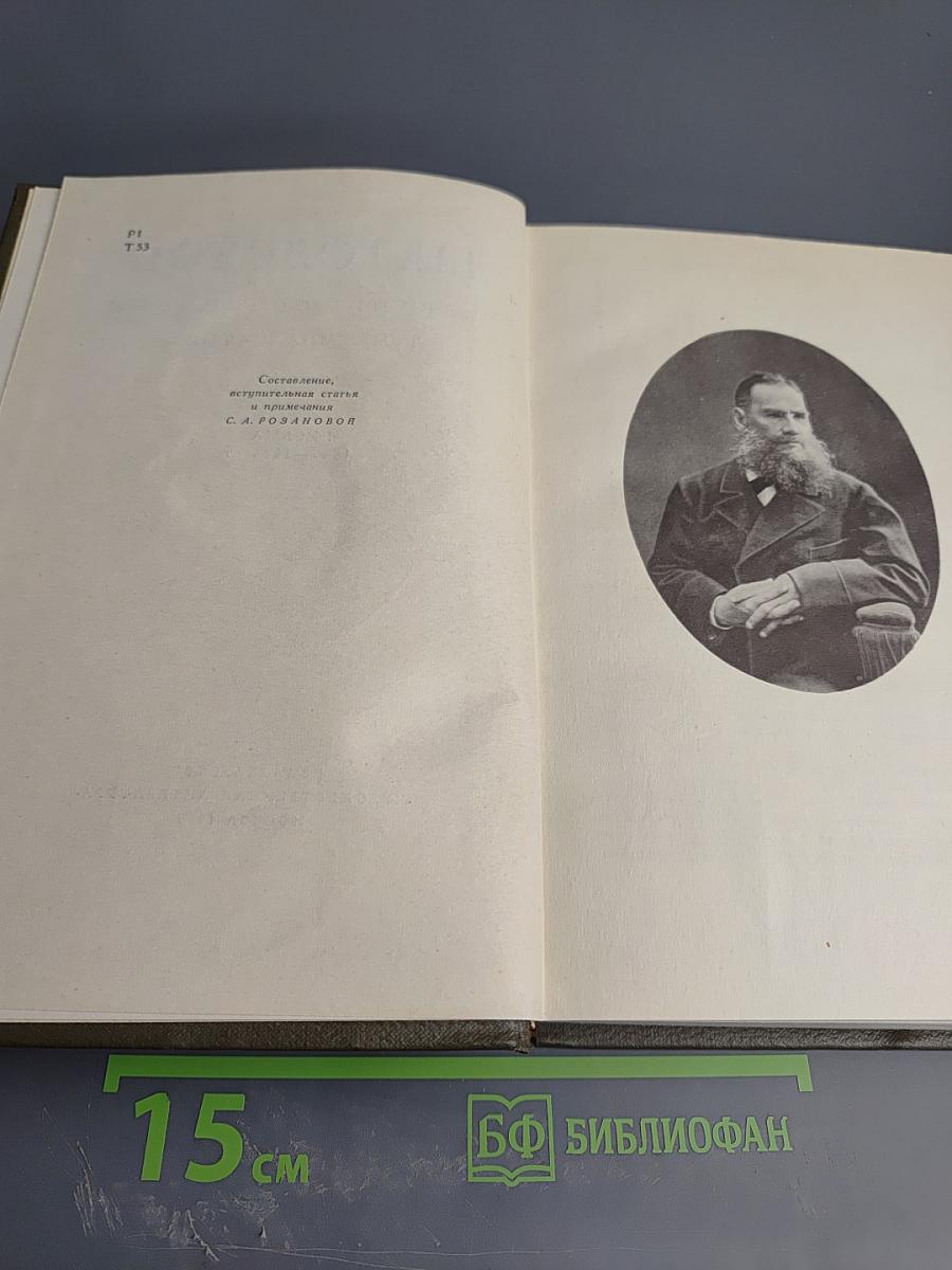 Собрание сочинений. Том семнадцатый. Письма 1845-1886 гг.