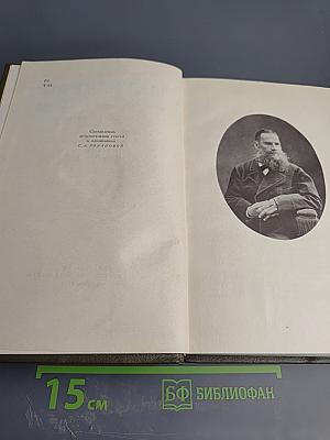 Собрание сочинений. Том семнадцатый. Письма 1845-1886 гг.