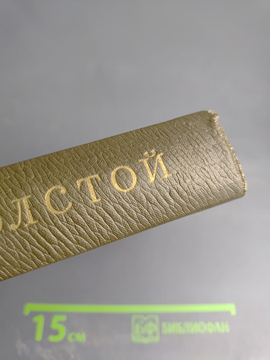 Собрание сочинений. Том семнадцатый. Письма 1845-1886 гг.