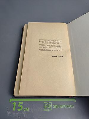 Америка справа и слева