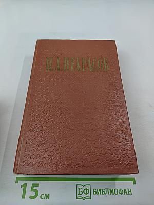 Н.А. Некрасов. Избранные произведения. Стихотворения. Том 1