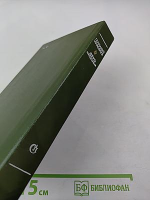 День милосердия