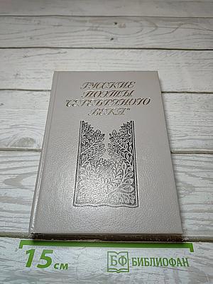 Русские поэты "серебряного века". Том 2