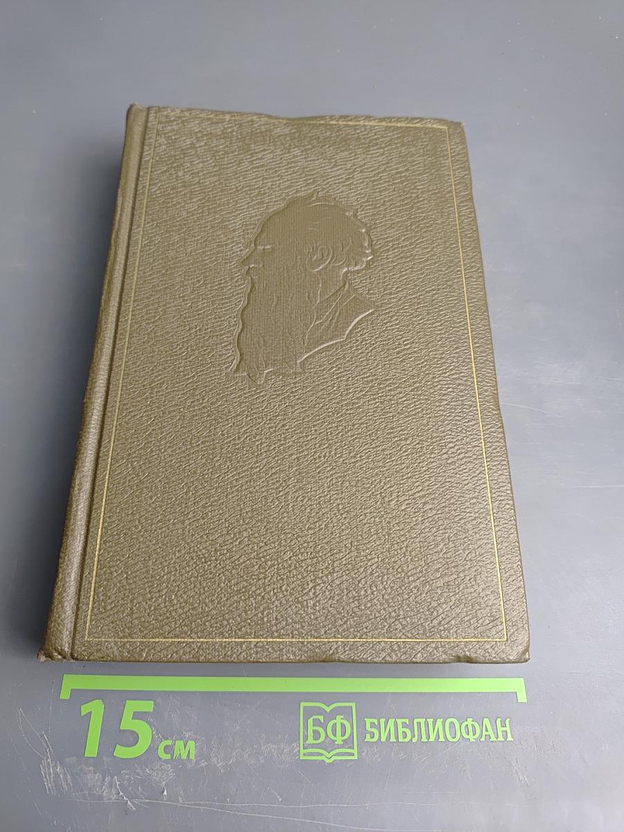 Собрание сочинений. Том десятый. Повести и рассказы 1872-1886 гг.