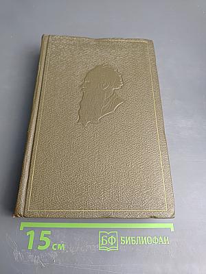 Собрание сочинений. Том десятый. Повести и рассказы 1872-1886 гг.