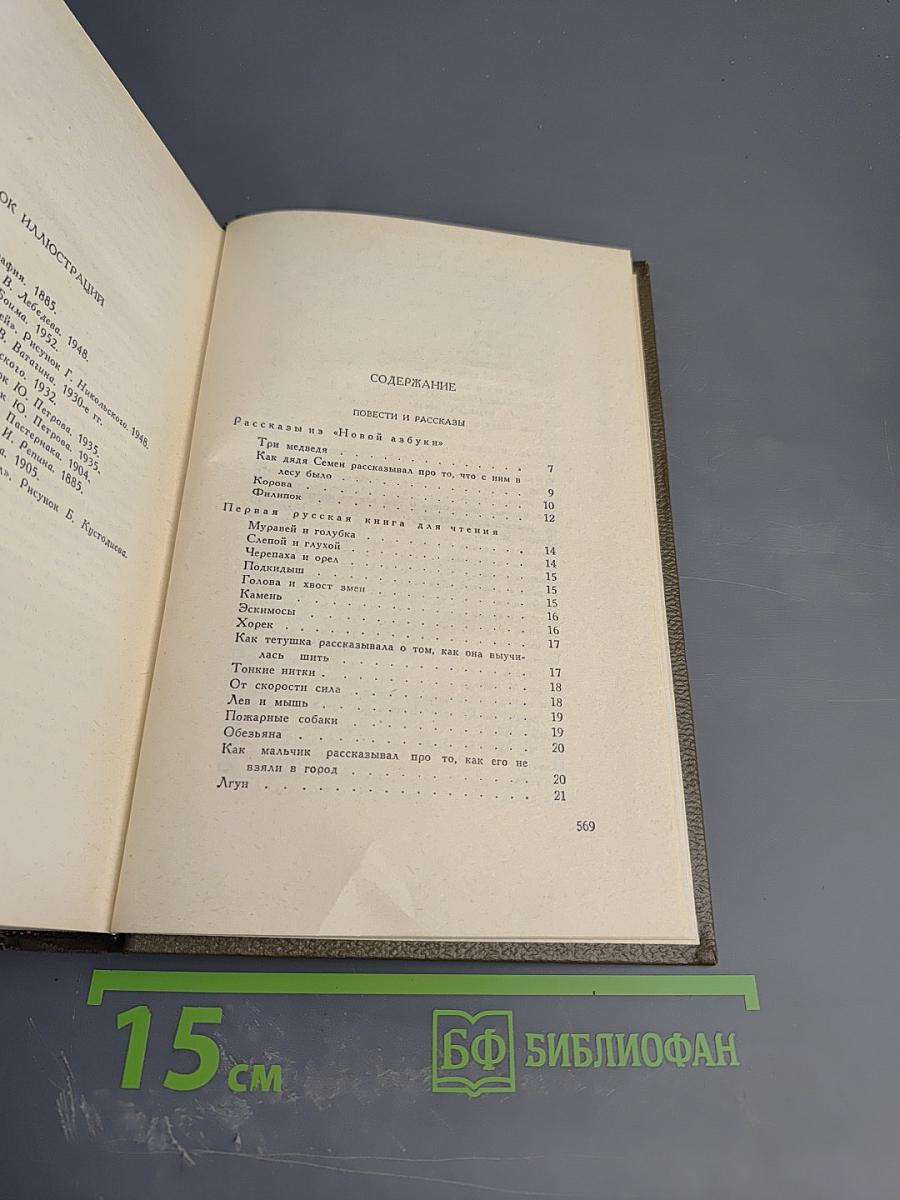 Собрание сочинений. Том десятый. Повести и рассказы 1872-1886 гг.