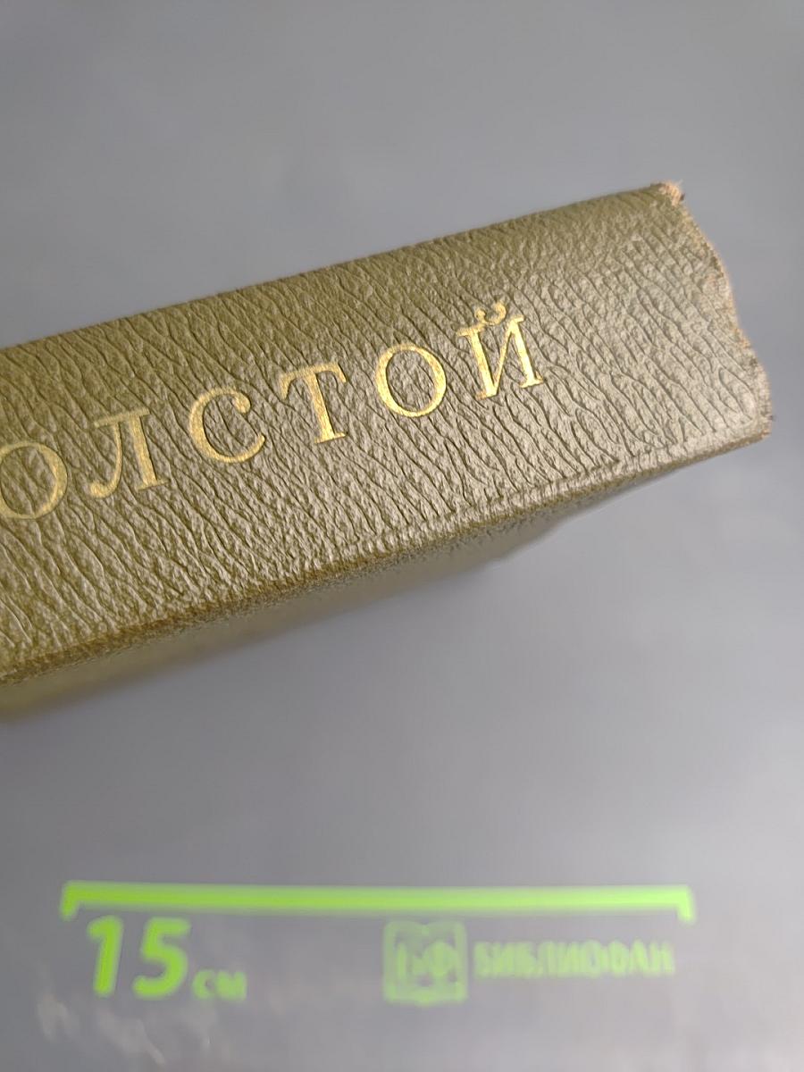 Собрание сочинений. Том десятый. Повести и рассказы 1872-1886 гг.