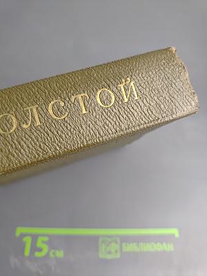 Собрание сочинений. Том десятый. Повести и рассказы 1872-1886 гг.