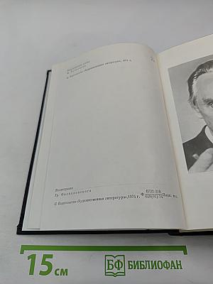 Города и годы. Братья