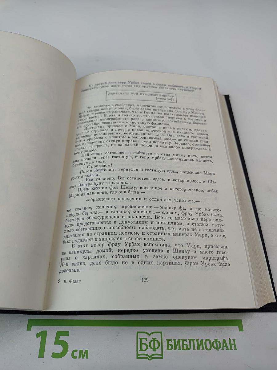 Города и годы. Братья