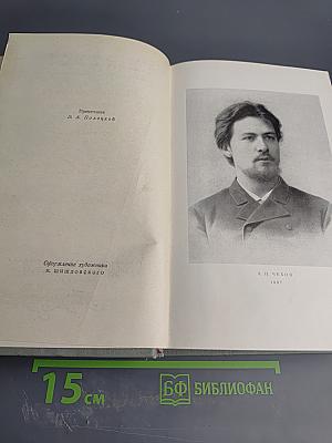 Собрание сочинений. Том четвертый. Рассказы 1886