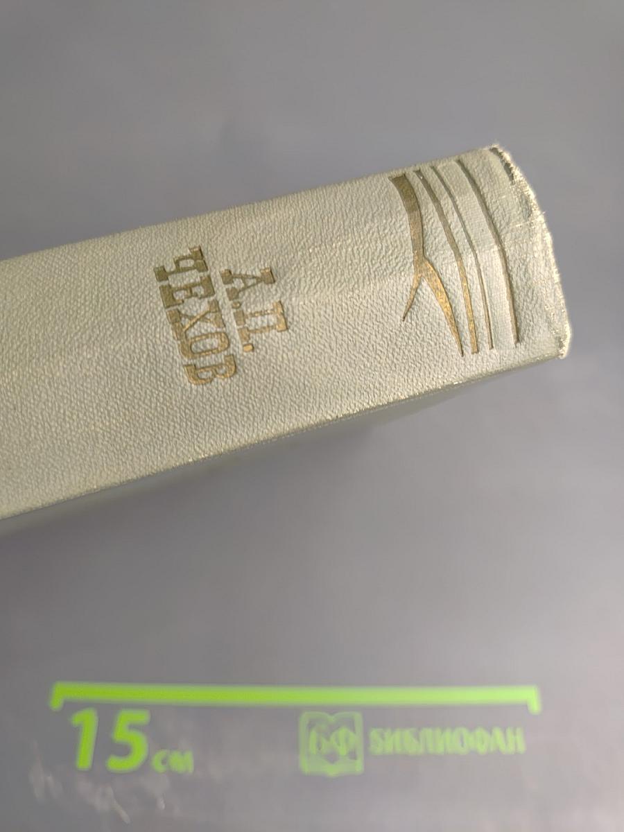 Собрание сочинений. Том четвертый. Рассказы 1886