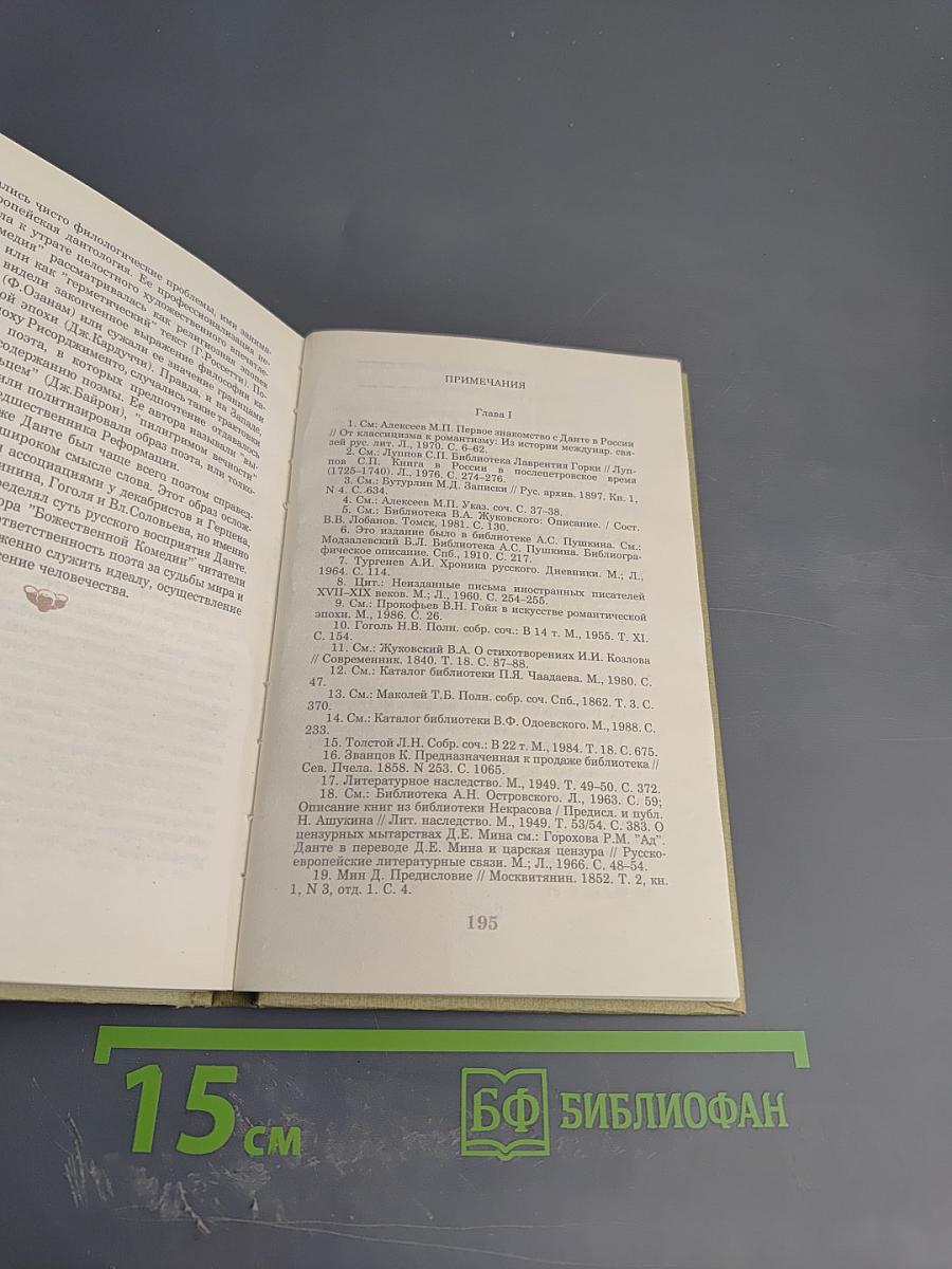 'Почтите высочайшего поэта...' Судьба 'Божественной комедии' Данте в России