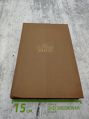 Собрание сочинений. Том 19, книга 2. Письма (1881-1884)