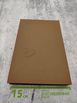 Собрание сочинений. Том 19, книга 2. Письма (1881-1884)
