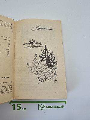 Усвятские шлемоносцы