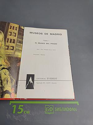 Museos de Madrid. Tomo 1: El Museo del Prado