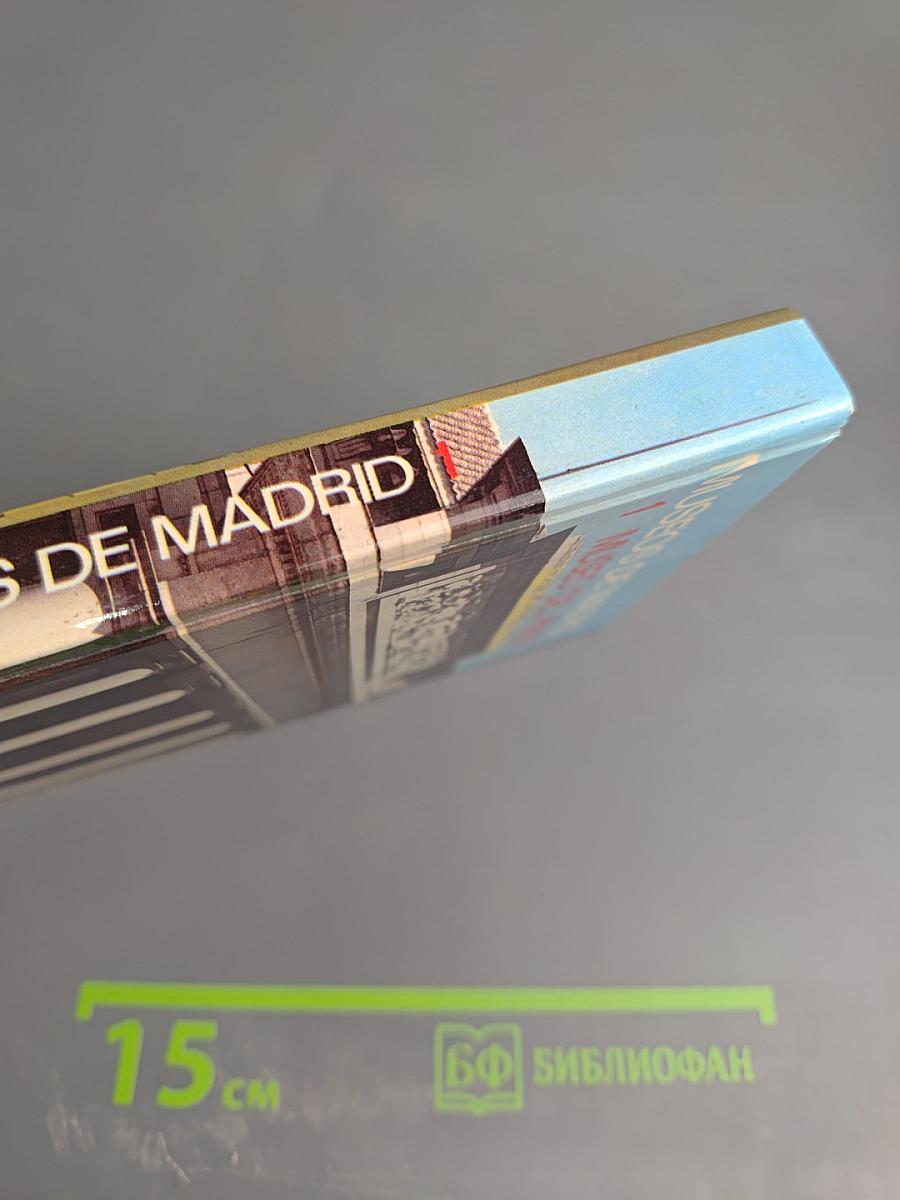 Museos de Madrid. Tomo 1: El Museo del Prado