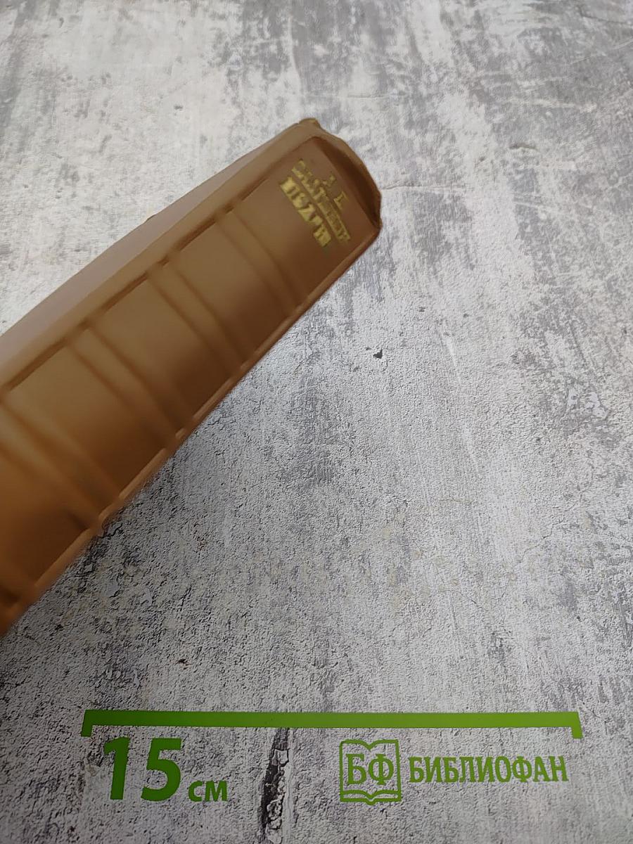 Собрание сочинений. Том девятый: Критика. Публицистика (1868-1883)