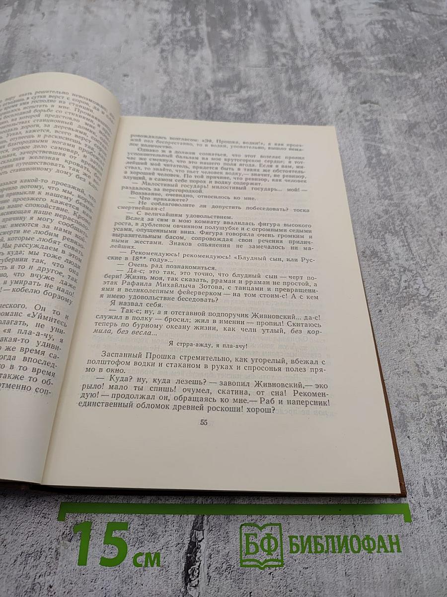 Собрание сочинений. Том второй. Губернские очерки 1856-1857