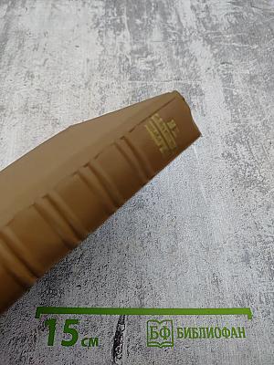 Собрание сочинений. Том второй. Губернские очерки 1856-1857